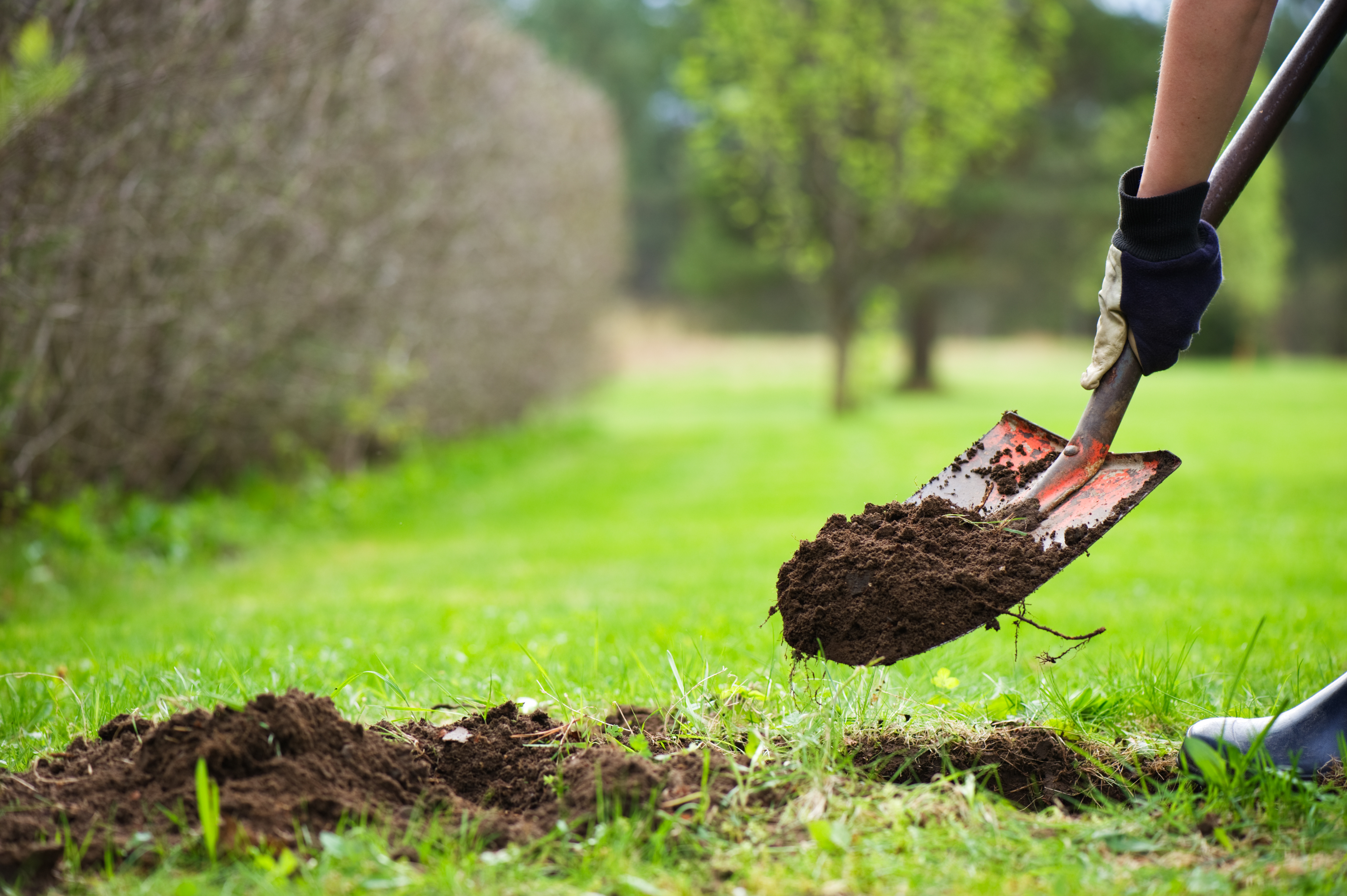 Person using a shovel to dig and loosen soil.